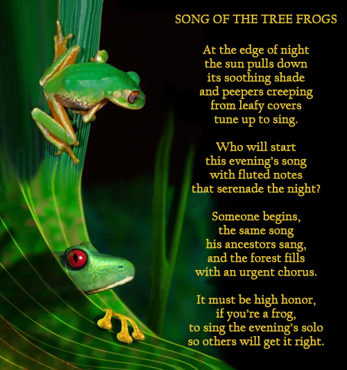 A Frog A Stick Poem 17